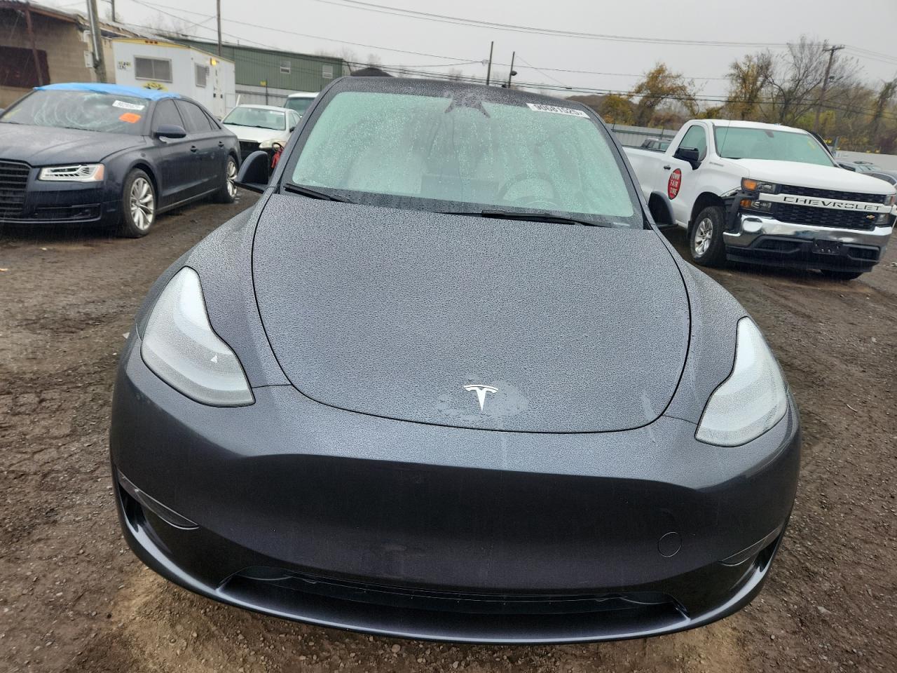 2025 TESLA MODEL Y