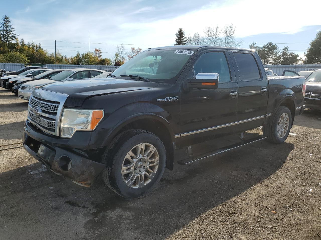 2010 FORD F-150