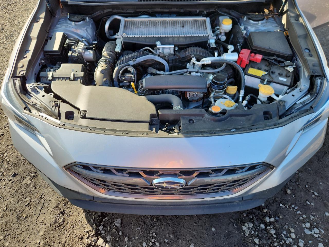 2023 SUBARU WRX