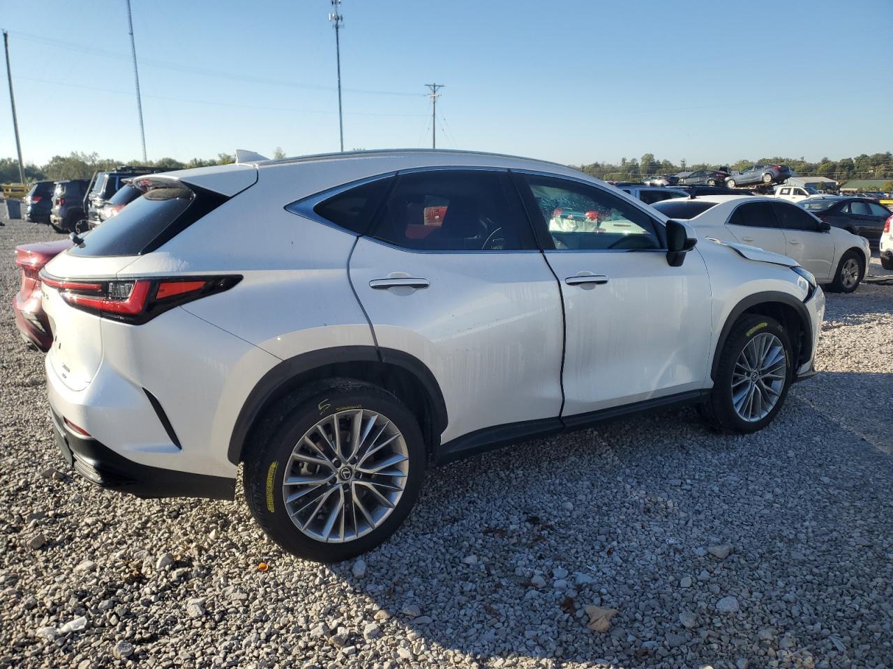 2024 LEXUS Nx
