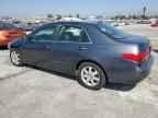 2005 HONDA ACCORD