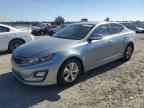 2016 KIA Optima Hybrid