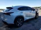 2020 LEXUS Nx