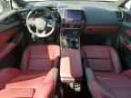 2024 LEXUS Nx