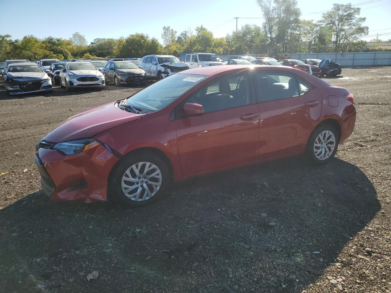 2019 TOYOTA COROLLA