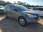 2010 HONDA CR-V