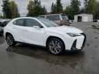 2025 LEXUS UX 300H