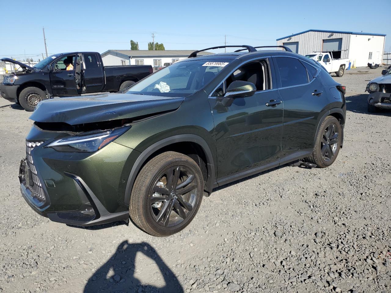 2025 LEXUS Nx