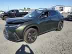 2025 LEXUS Nx