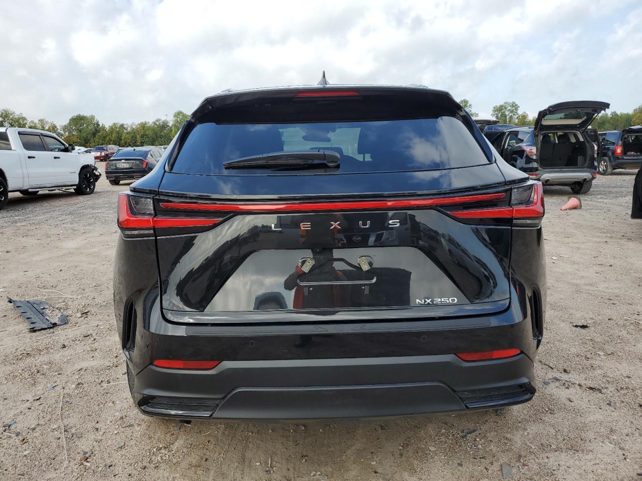 2025 LEXUS NX 250
