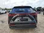 2025 LEXUS NX 250