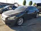 2014 NISSAN Maxima