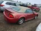 2002 FORD MUSTANG