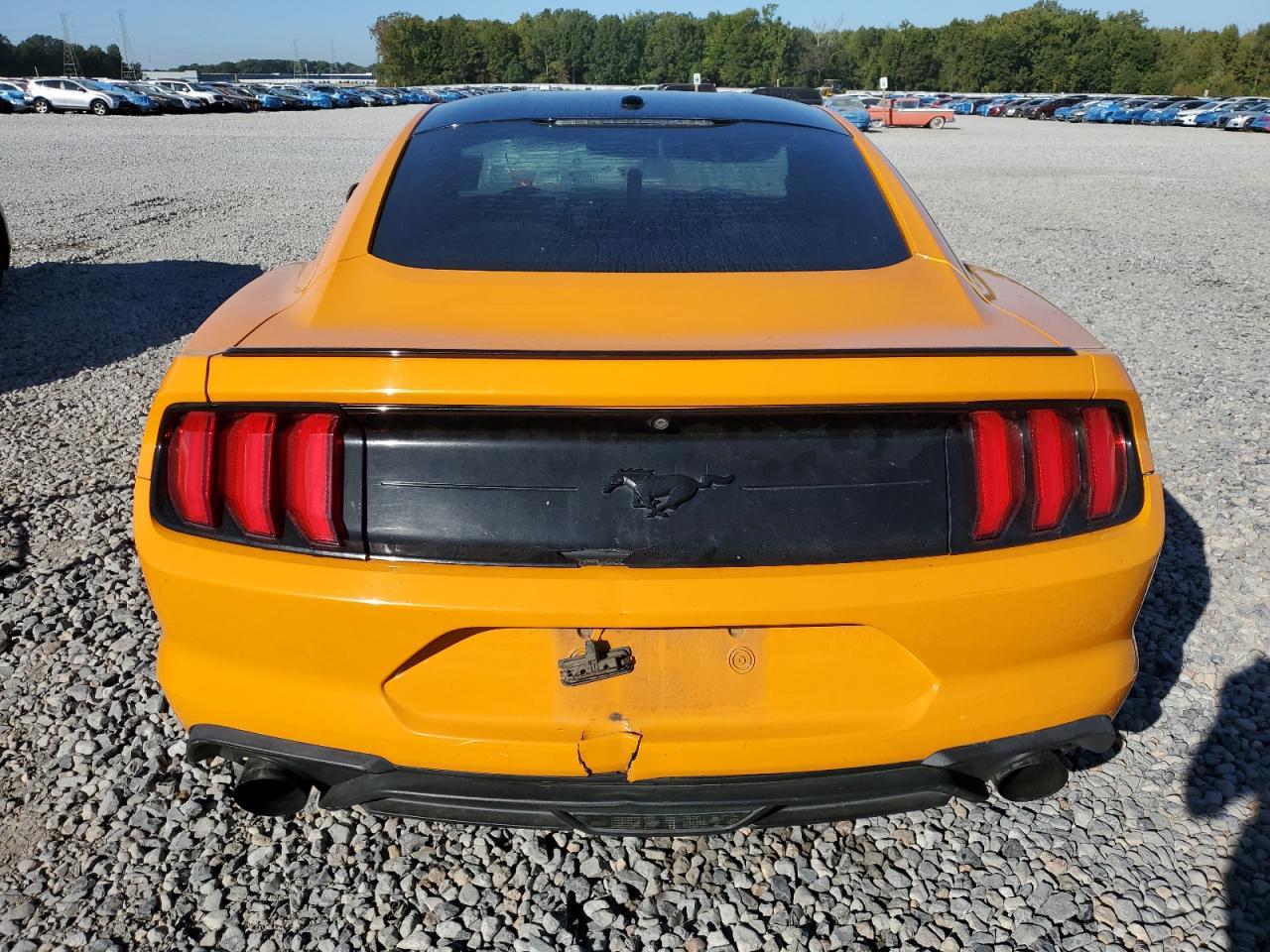 2019 FORD MUSTANG