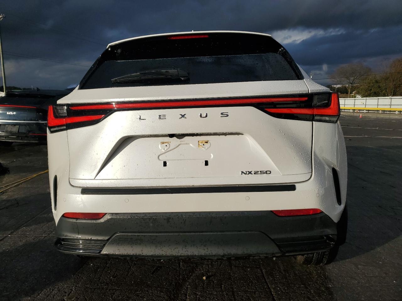 2024 LEXUS NX 250