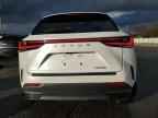 2024 LEXUS NX 250