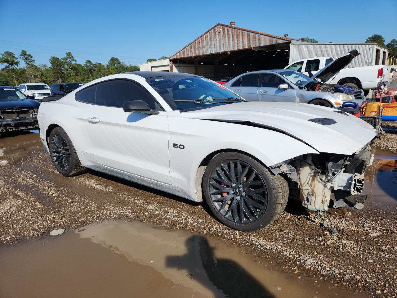 2019 FORD MUSTANG