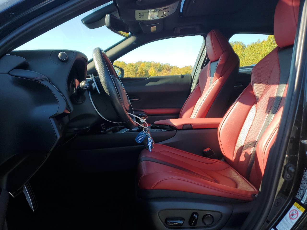 2019 LEXUS UX 250H
