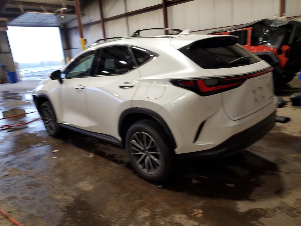 2024 LEXUS Nx