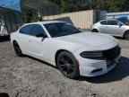 2017 DODGE CHARGER