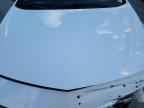 2019 CHEVROLET MALIBU
