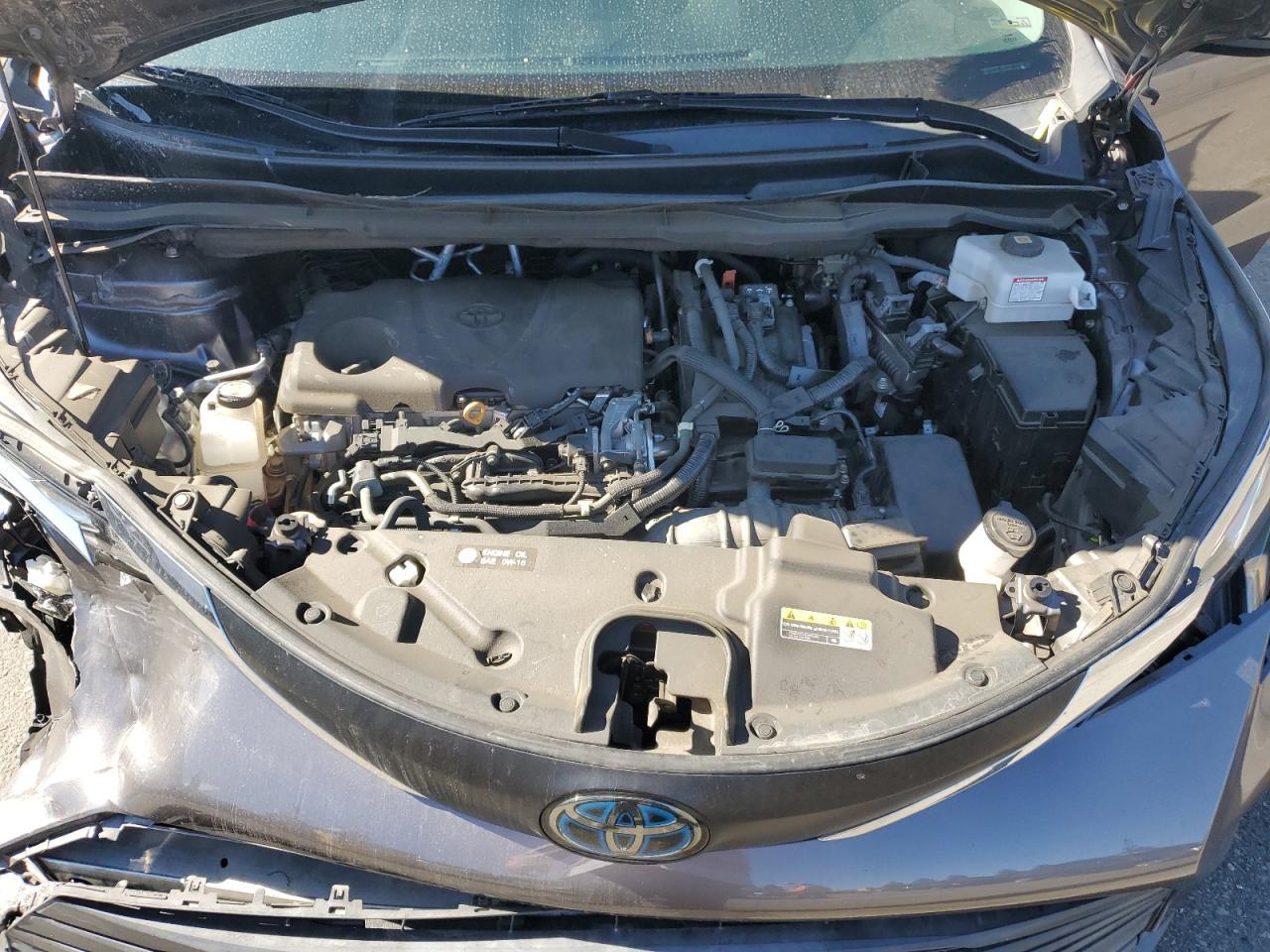 2021 TOYOTA SIENNA