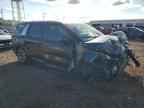 2024 KIA Carnival