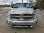 2010 DODGE RAM 1500