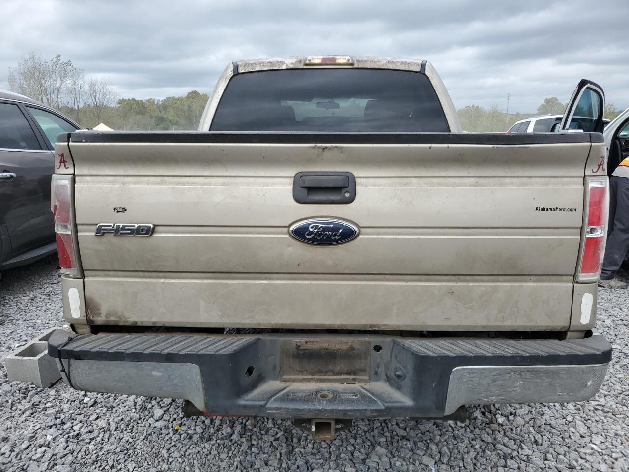 2010 FORD F-150