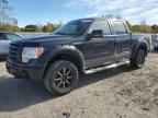 2009 FORD F-150