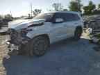 2024 TOYOTA Sequoia