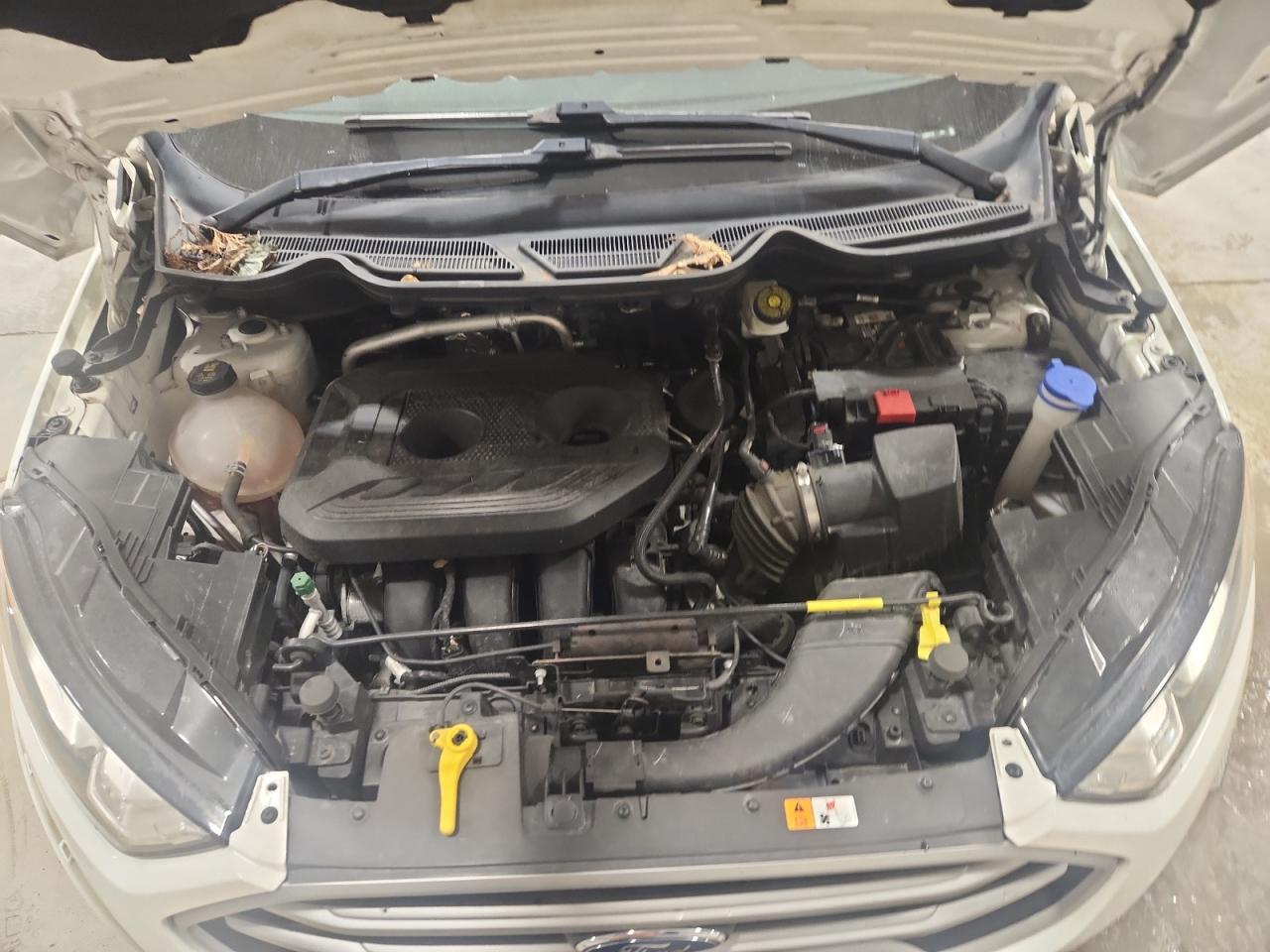 2019 FORD EcoSport