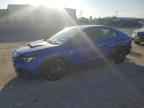 2023 SUBARU WRX