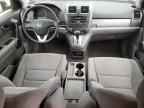 2010 HONDA CR-V