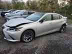 2023 LEXUS Es