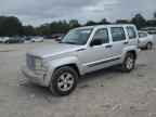 2010 JEEP Liberty