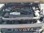 2025 TOYOTA Sequoia
