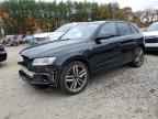 2015 AUDI SQ5