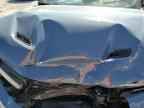 2024 DODGE Hornet