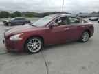 2009 NISSAN Maxima
