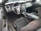 2013 FORD MUSTANG