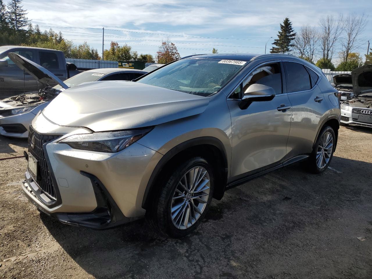 2022 LEXUS Nx