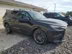 2024 LEXUS TX 350