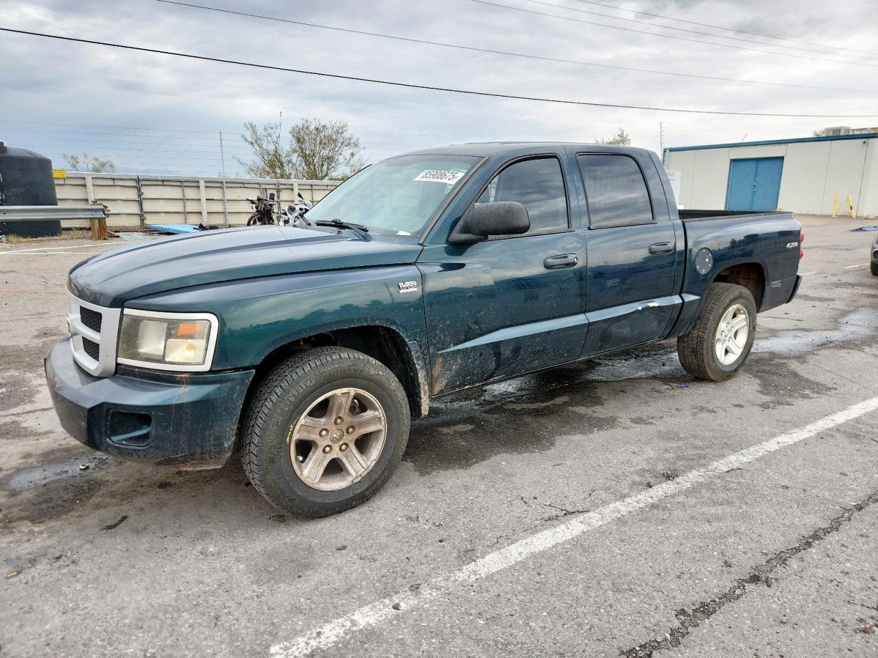 2011 DODGE Dakota