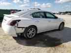 2013 NISSAN Maxima