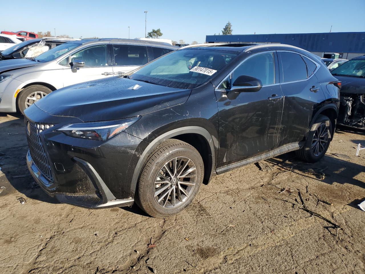 2024 LEXUS NX 350