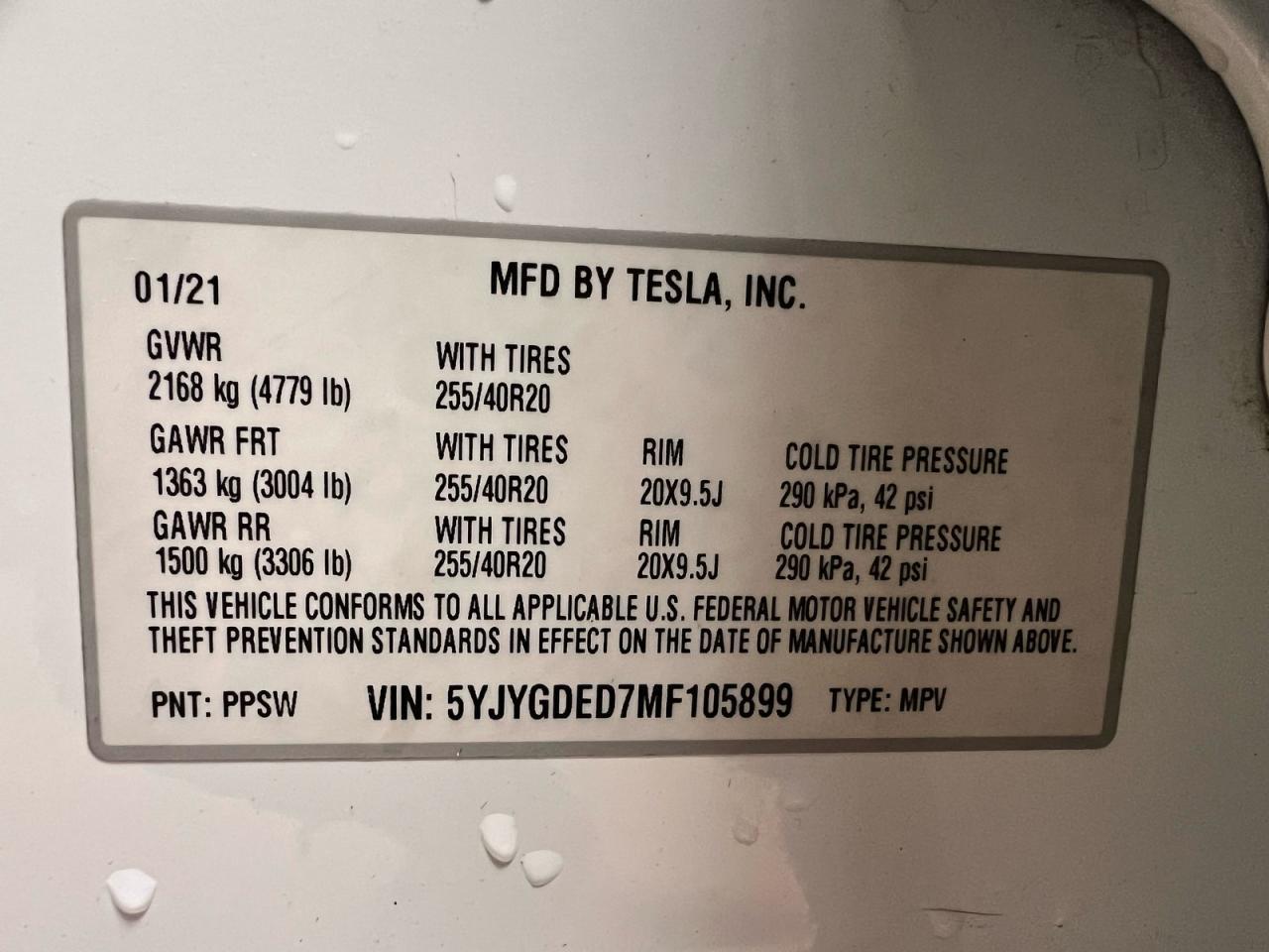 2021 TESLA MODEL Y