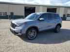 2023 HONDA Passport