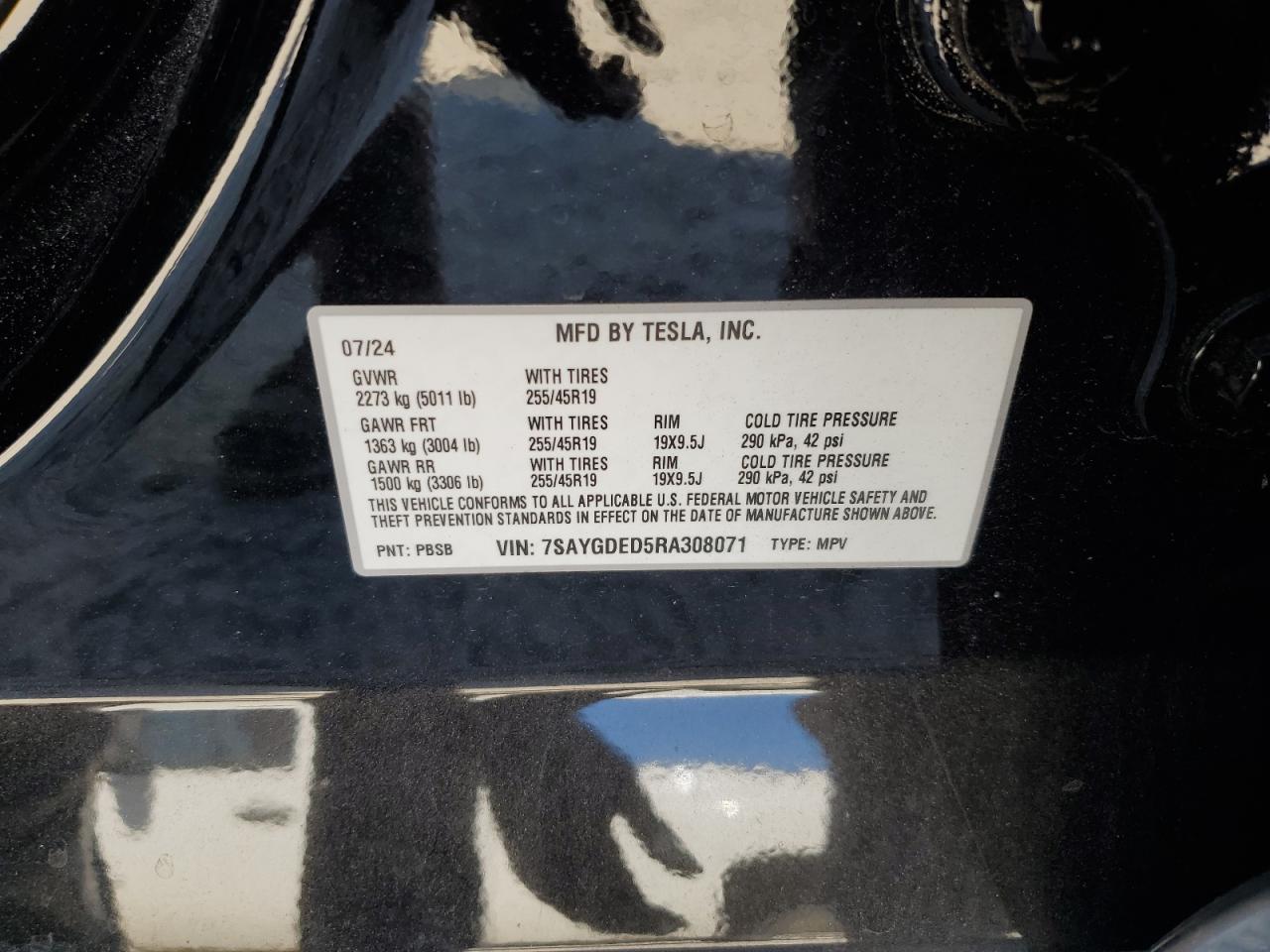 2024 TESLA MODEL Y