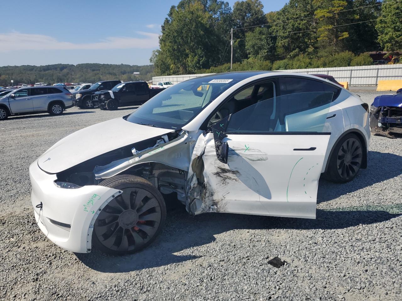 2025 TESLA MODEL Y